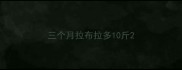 三个月拉布拉多10斤