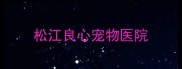 松江良心宠物医院
