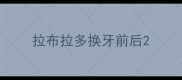 拉布拉多换牙前后