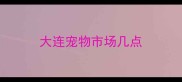 大连宠物市场几点