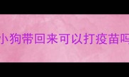 小狗带回来可以打疫苗吗