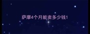 萨摩4个月能卖多少钱