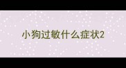 小狗过敏什么症状