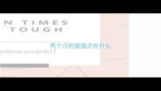 两个月的腊肠犬吃什么