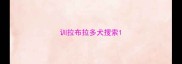 训拉布拉多犬搜索