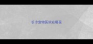 长沙宠物医院在哪里