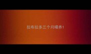 拉布拉多三个月喂养