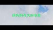 跟狗狗有关的电影