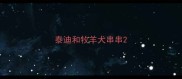 泰迪和牧羊犬串串