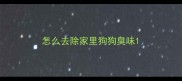 怎么去除家里狗狗臭味