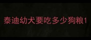 泰迪幼犬要吃多少狗粮