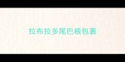 拉布拉多尾巴根包裹