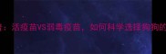 宠物健康科普活疫苗VS弱毒疫苗如何科学选择狗狗的免疫盾牌