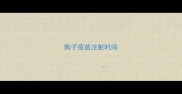 狗子疫苗注射时间