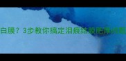 狗狗眼睛像蒙了层白膜3步教你搞定泪痕结膜肥厚问题拯救萌宠颜值