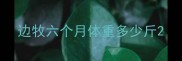边牧六个月体重多少斤