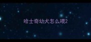 哈士奇幼犬怎么喂