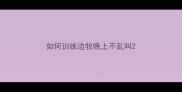 如何训练边牧晚上不乱叫