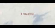 哪个网站买宠物好