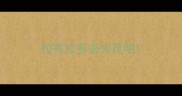 拉布拉多丢失昆明
