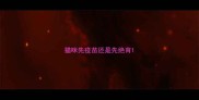 猫咪先疫苗还是先绝育