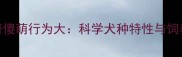哈士奇傻萌行为大科学犬种特性与饲养指南