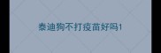 泰迪狗不打疫苗好吗