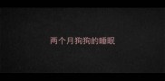 两个月狗狗的睡眠