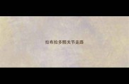 拉布拉多髋关节走路