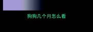 狗狗几个月怎么看