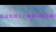 拉布拉多犬为什么会乱咬人科学训练指南与行为矫正方案