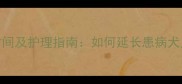 狂犬病狗狗存活时间及护理指南如何延长患病犬只寿命与预防措施
