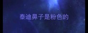 泰迪鼻子是粉色的