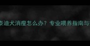 三个月大的泰迪犬消瘦怎么办专业喂养指南与疾病预防全