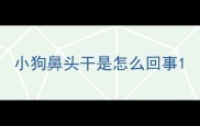 小狗鼻头干是怎么回事