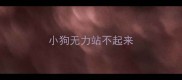 小狗无力站不起来