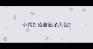 小狗打疫苗起了大包