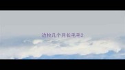 边牧几个月长毛毛