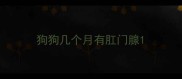 狗狗几个月有肛门腺