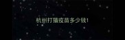 杭州打猫疫苗多少钱
