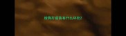 给狗打疫苗有什么坏处