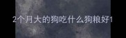 2个月大的狗吃什么狗粮好