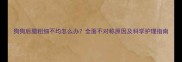 狗狗后腿粗细不均怎么办全面不对称原因及科学护理指南