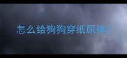 怎么给狗狗穿纸尿裤