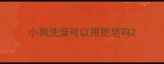 小狗洗澡可以用肥皂吗