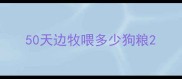 50天边牧喂多少狗粮