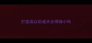 打疫苗以后成犬会得细小吗