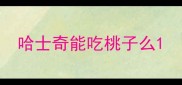 哈士奇能吃桃子么