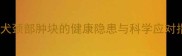 泰迪犬颈部肿块的健康隐患与科学应对指南