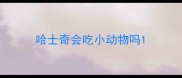哈士奇会吃小动物吗